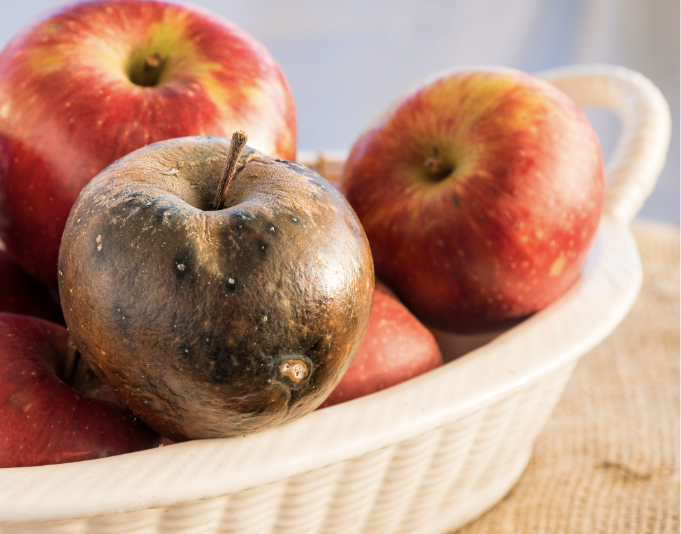 one bad apple spoils the bunch